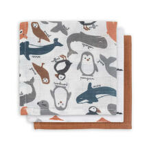 Jollein Muslin Face Polar Art.536-­848­-65349