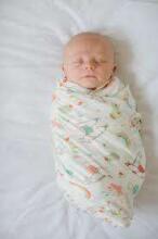 Lorelli Swaddle Muslin  Art.10340091904 Blue Stars