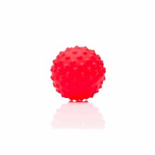 Fillikid Sensory Balls Art.TL828 Ģimnastikas bumbas komplekts, 11 gab.