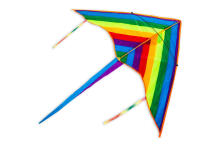 Ikonka Kite Art.KX9671