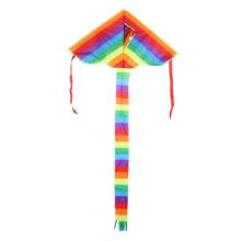 Ikonka Kite Art.KX9671