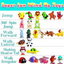 Kidsworld Wind Up Toy Art.13250 Wind-up toy, 1 pc.