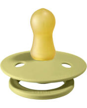 Bibs Colour Art.132573 Meadow/Earth  Soothers 0-6 m.