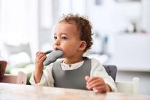 Jollein Silicone Bib Art.029-007-00094 Storm Grey