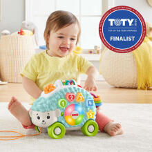 Fisher Price Happy Shapes Hedgehog Art.GJB14