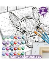 Splat Planet Paints Number Art.SP44846