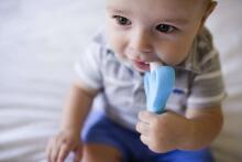 BabyMix Toothbrush Сarrot Art.43670 Orange