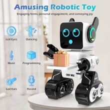 Anysun Intelligent RC Robot with Touch Art.138327  Interaktīvais robots