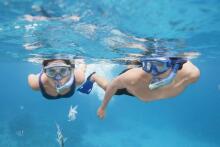 BESTWAY Hydro-Swim Meridian snorkelēšanas komplekts, ast., 25020
