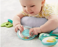Fisher Price Panda  Art.GJD28