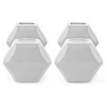 Spokey MONSTER Art.929112 Set of hexagonal dumbbells 2x2 kg