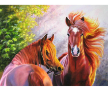 Diamond Painting 40x50cm
