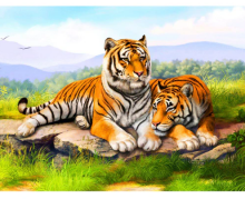 Diamond Painting 40x50cm