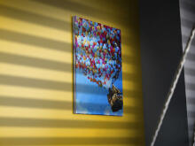 Ikonka Art.KX5549_4 Painting by numbers image 40x50cm balloon