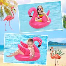 Kidsworld Flamigo Pool Art.148448 Piepūšamais bērnu pontona ritenis flamingo