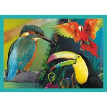 TREFL Puzzle Animals 4 in 1 set 35 48 54 70 pcs