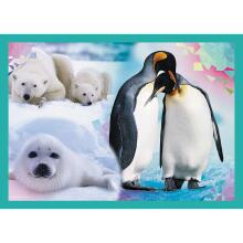 TREFL Puzzle Animals 4 in 1 set 35 48 54 70 pcs