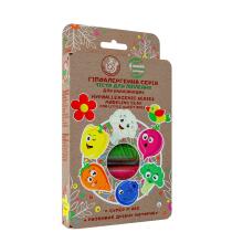 EcoToys City Creative set Play dough set - ECO Series 6 colors 
