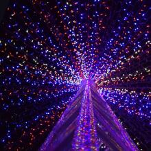 Christmas light garland 1000 LED CL1005
