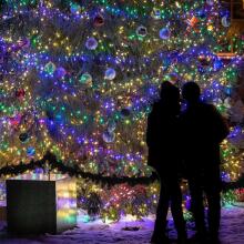 Christmas light garland 1000 LED CL1005