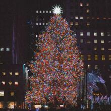 Christmas light garland 1000 LED CL1005