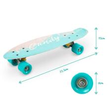 Qkids Galaxy Penny Board Art.DESK00004 Feather