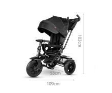 Bebe Basic Premium Air 6 in1  Art.150416 Black Children's tricycle with handle and roof
