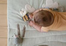Little Dutch Playpen Mat Little Goose 80×100 cm Art.8508