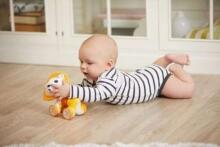 Tiny Love Rolling Toys Leonardo Art.TL1115900458R