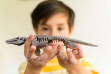 4M craft kit Dig a Mosasaurus skeleton