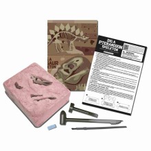 4M craft kit Dig a Pteranodon skeleton
