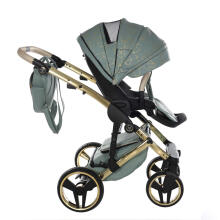 Junama Heart Art.HT-03 Green Gold Baby universal stroller 2 in 1