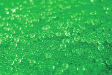 GEL BLASTER Gellets - Electric Green 10 000 pcs