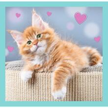 TREFL Puzzle 3 in 1 set Kittens