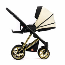 Dada Prams Nexus Individual Line Art.153447 Blossom  Детская универсальная коляска 2 в 1