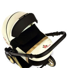 Dada Prams Nexus Individual Line Art.153447 Blossom