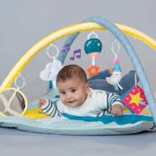 Taf Toys Musical Gym Art.248911