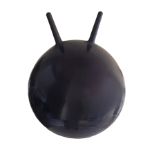 Gerardo's Toys Art.GT7706  Gym Ball