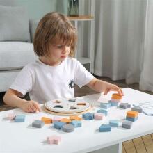 PolarB Shape Blocks Art.255630