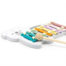 PolarB Xylophone Art.255620