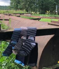 Weri Spezials Bērnu Zeķubikses Cars and Stripes Chocolate ART.SW-2065 Augstas kvalitātes bērnu kokvilnas trīs zeķubikšu pāru komplekts zēniem