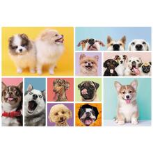 TREFL puzzle Dogs 160 pcs