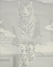 Ikonka Art.KX4497_2 Картина по номерам 40x50 см Кот и тигр