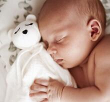 La Bebe™ NO Sleep Comforter Art.155464 Bunnies