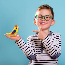 SILVERLIT Interactive toy Digibirds