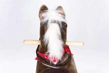 Toma Rocking Chair Art.WJ-T001 Horse