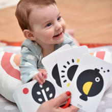 Banana Panda High Contrast Flash Cards on a Ring Art.03969 10psc