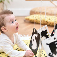 Banana Panda High Contrast Flash Cards on a Ring Art.03970 10psc