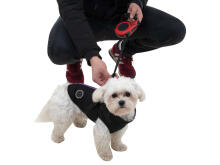 Ikonka Art.KX6252_1 Automatic strap leash 5m for dogs up to 14kg red
