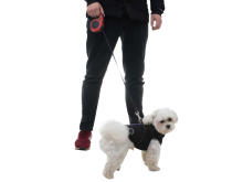 Ikonka Art.KX6252_1 Automatic strap leash 5m for dogs up to 14kg red